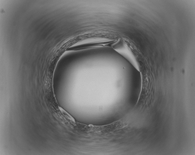X0000083660773200702261141