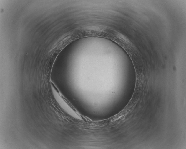 X0000083660774200702261141