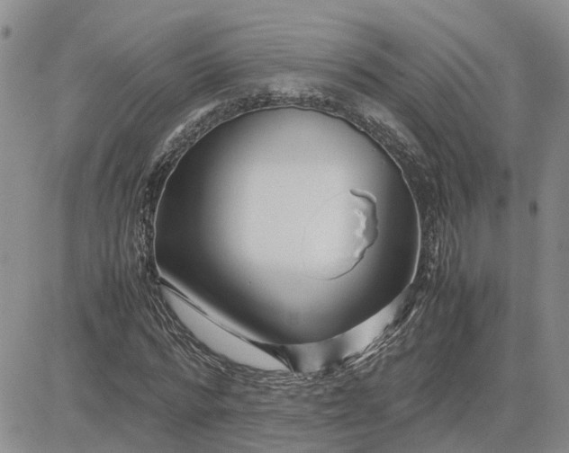 X0000083660776200702261141