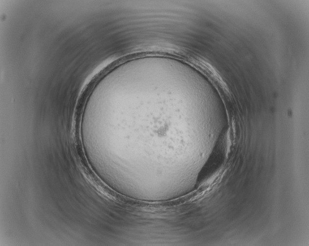 X0000083660780200702261140
