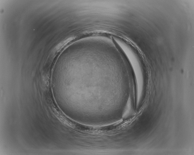 X0000083660785200702261140