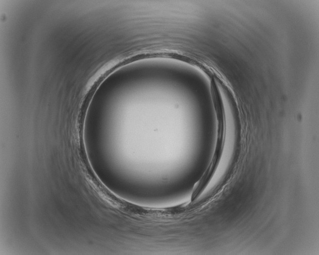 X0000083660789200702261140