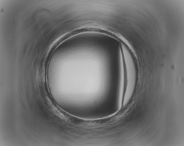 X0000083660791200702261140