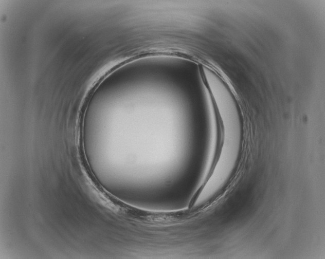 X0000083660795200702261140