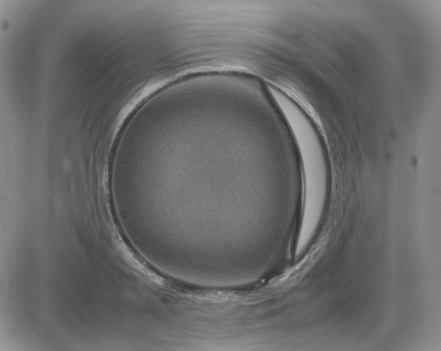 X0000083660797200702261140