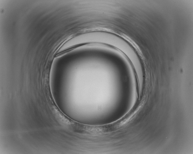 X0000083660801200702261140