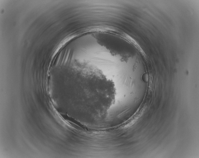 X0000083660802200702261140