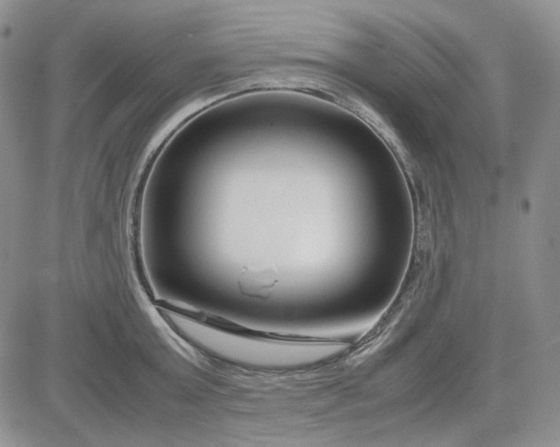 X0000083660803200702261140