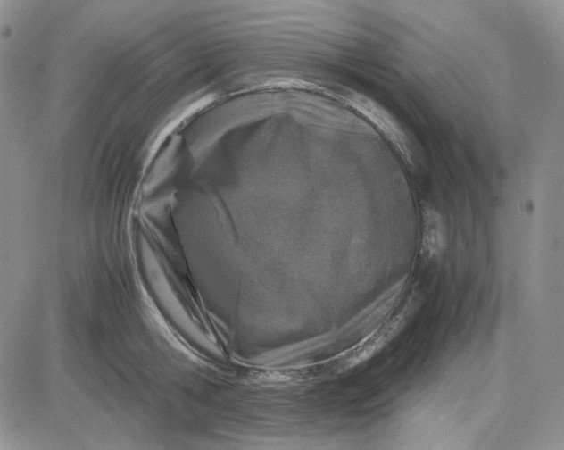 X0000083660806200702261140
