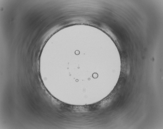 X0000083660807200702261140