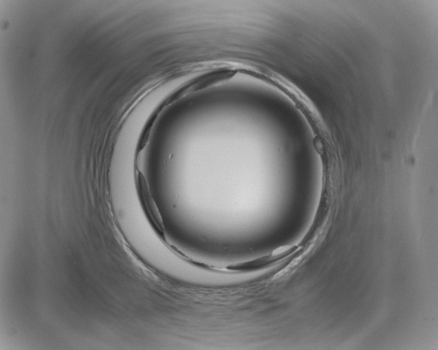 X0000083660809200702261140