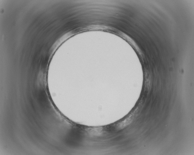 X0000083660810200702261140