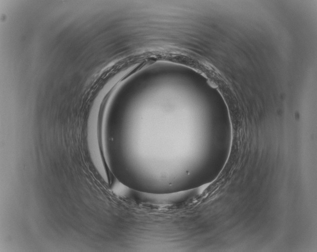 X0000083660822200702261139