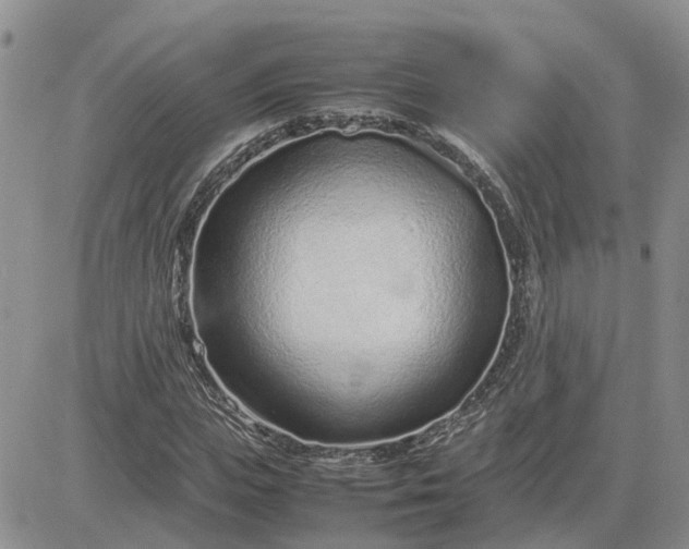 X0000083660823200702261139