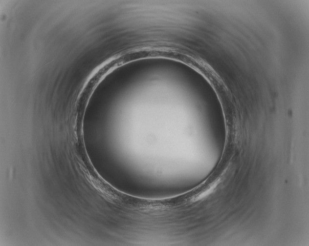 X0000083660830200702261139