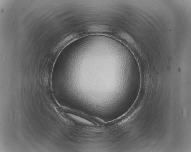 X0000083660833200702261139