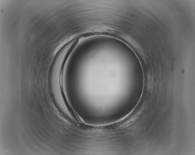 X0000083660834200702261139