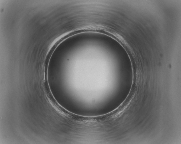X0000083660838200702261139