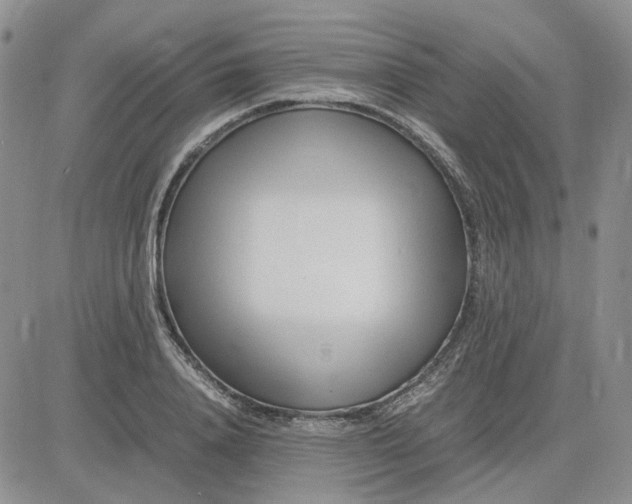 X0000083660840200702261139