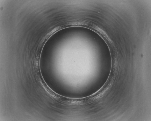 X0000083660841200702261139