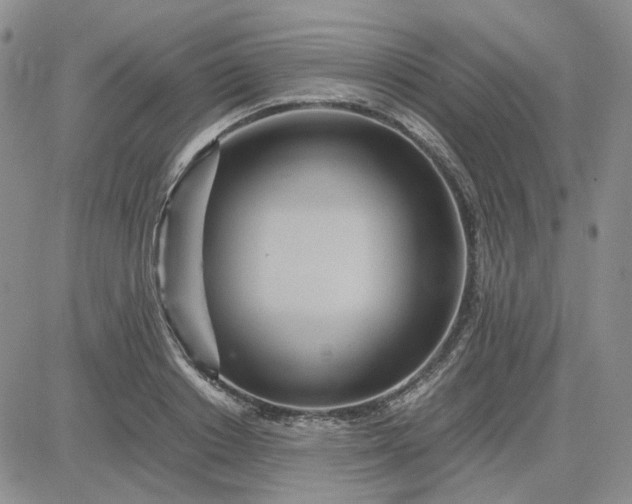X0000083660842200702261139