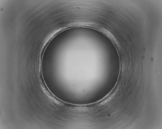 X0000083660844200702261139