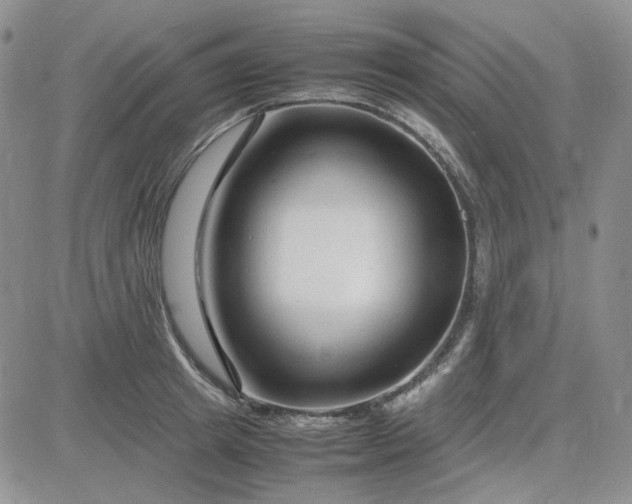 X0000083660849200702261140