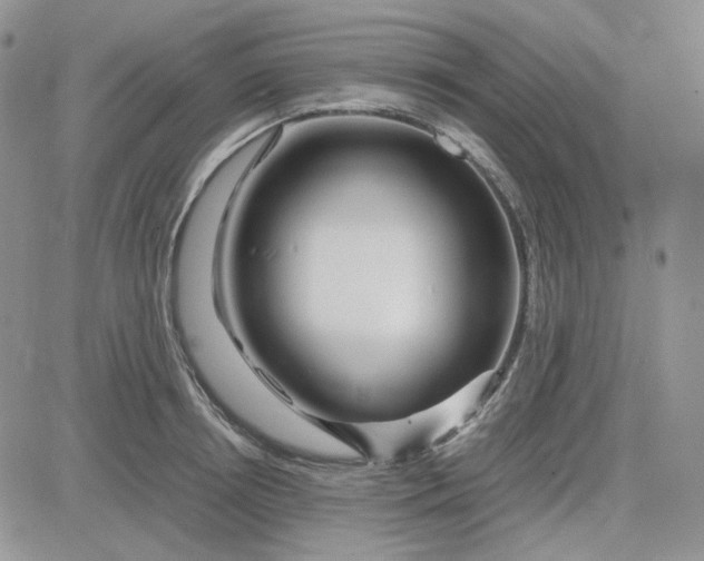 X0000083660850200702261140