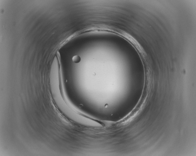 X0000083660857200702261140