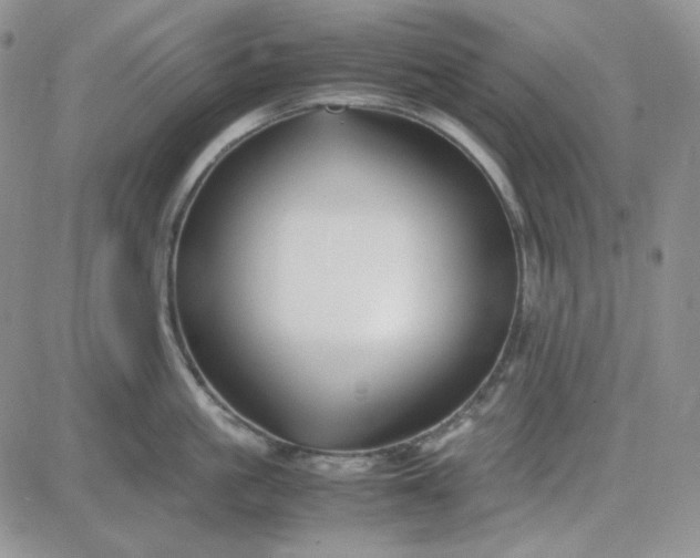 X0000083660861200702261140