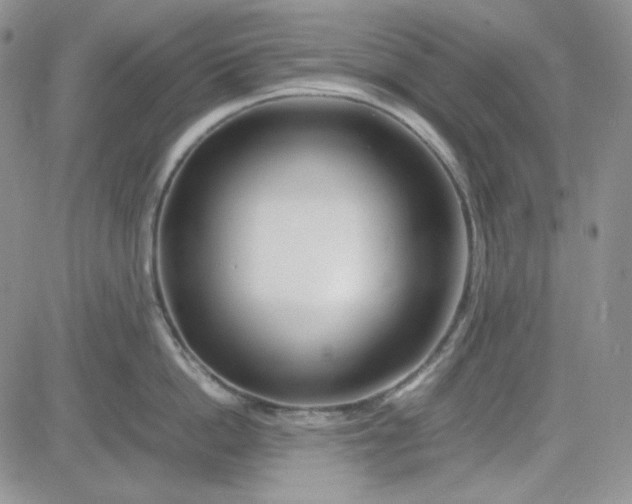 X0000083660862200702261140