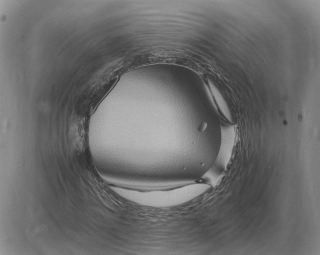 X0000083660868200702261139