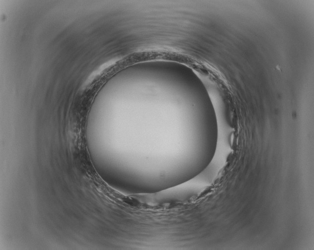 X0000083660872200702261139