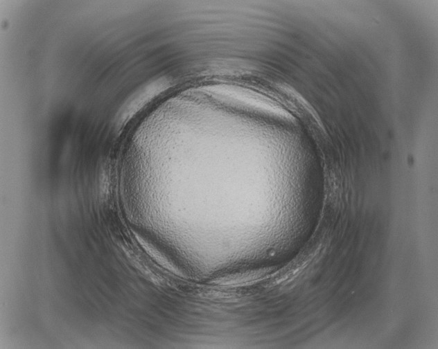 X0000083660874200702261139