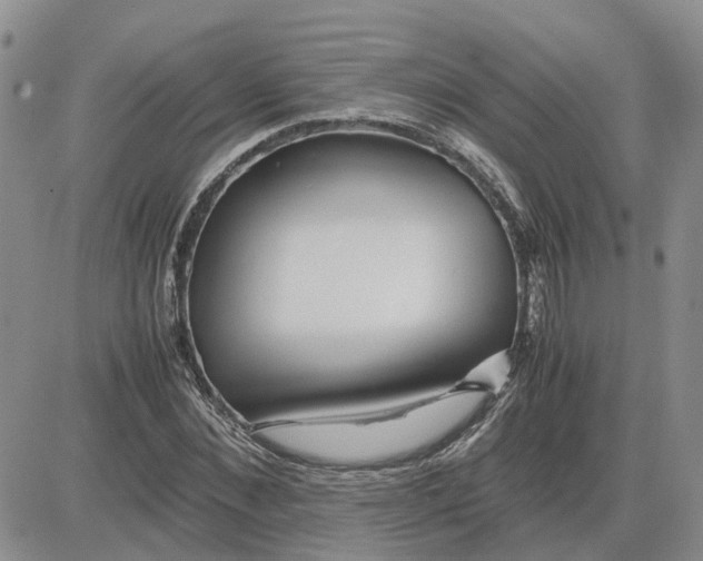 X0000083660876200702261139