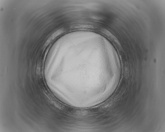 X0000083660882200702261139