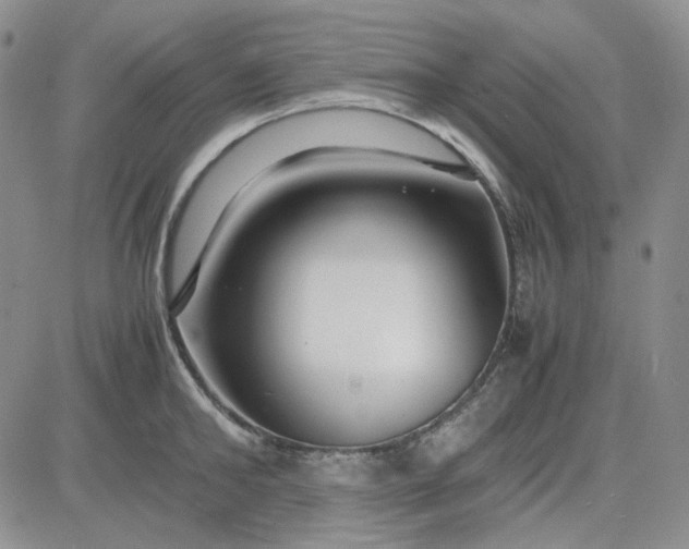X0000083660902200702261138