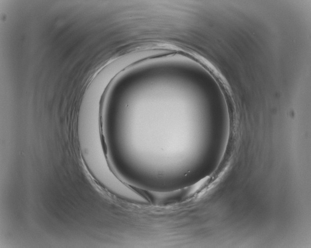X0000083660905200702261138
