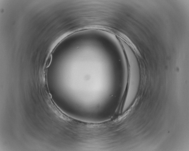 X0000083660908200702261138