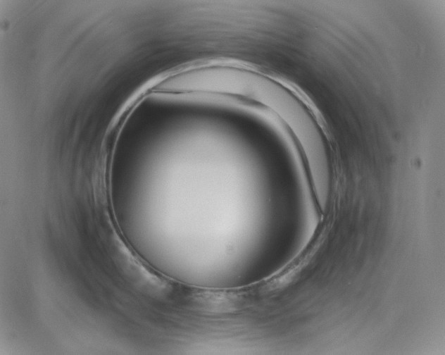 X0000083660910200702261138