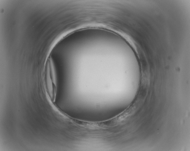 X0000083660911200702261138
