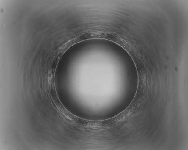 X0000083660914200702261137