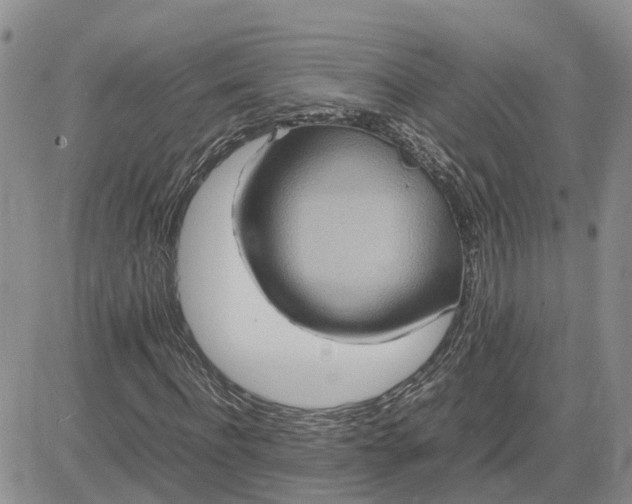 X0000083660916200702261138