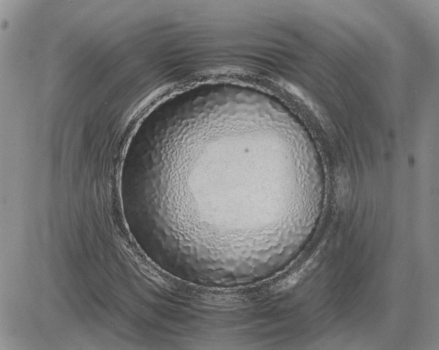 X0000083660921200702261138