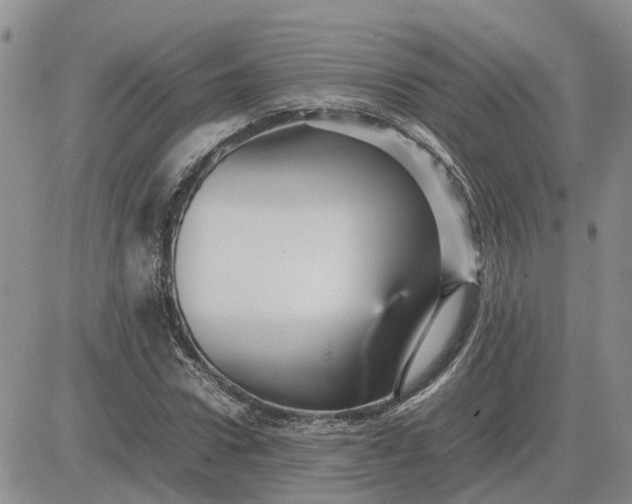 X0000083660922200702261138