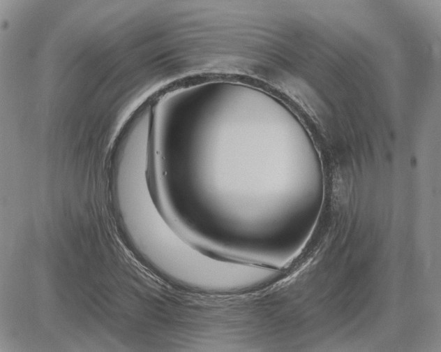 X0000083660926200702261138