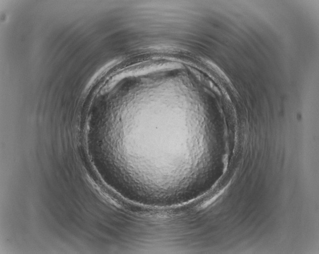 X0000083660930200702261138