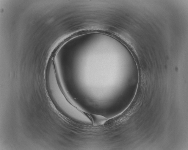 X0000083660935200702261138