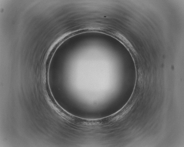 X0000083660939200702261138