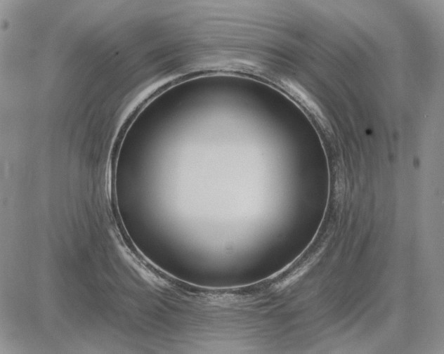 X0000083660940200702261138